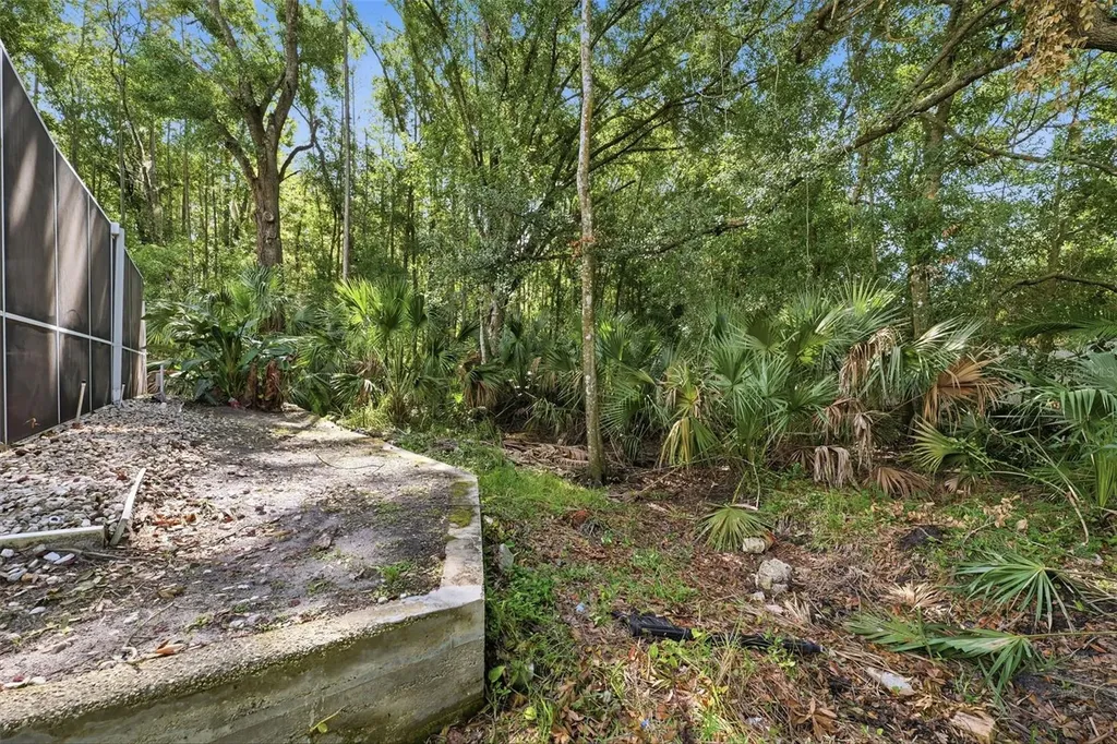 4710 Basswood Street Land O Lakes FL 34639