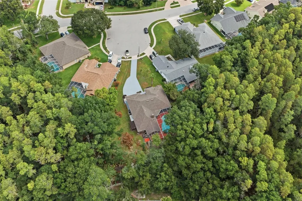 4710 Basswood Street Land O Lakes FL 34639
