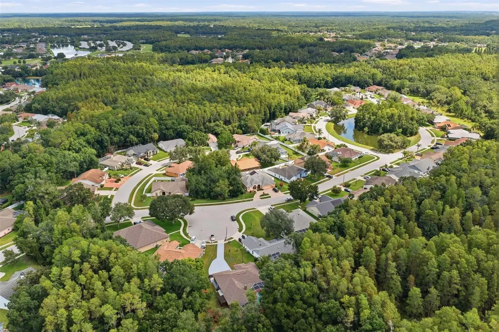 4710 Basswood Street Land O Lakes FL 34639