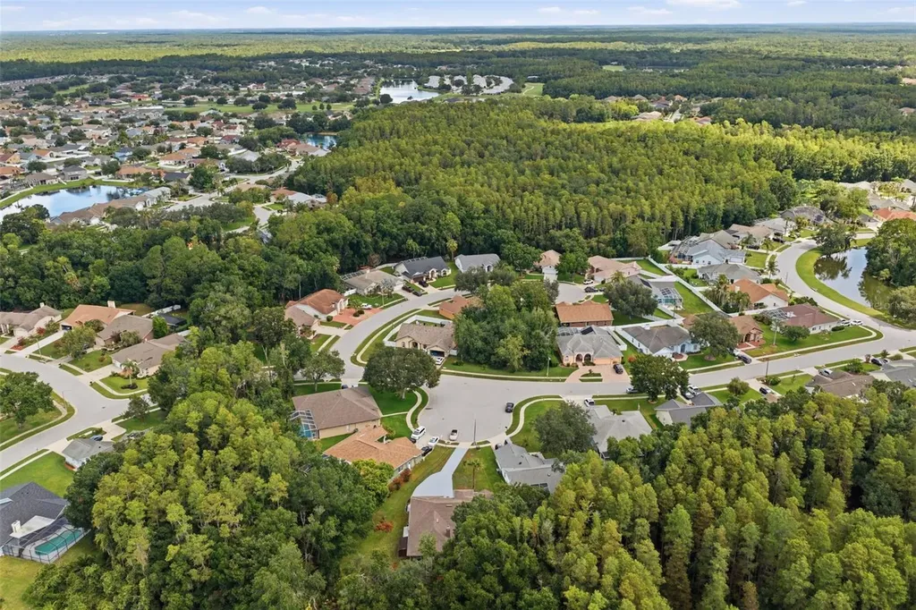 4710 Basswood Street Land O Lakes FL 34639