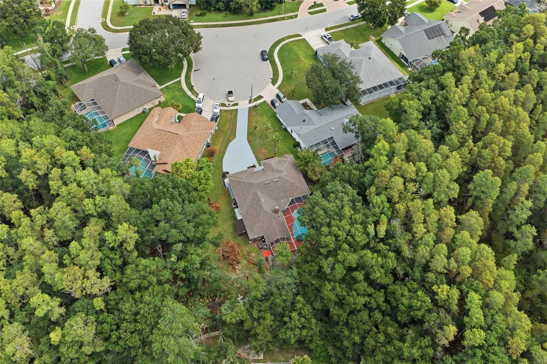 4710 Basswood Street Land O Lakes FL 34639