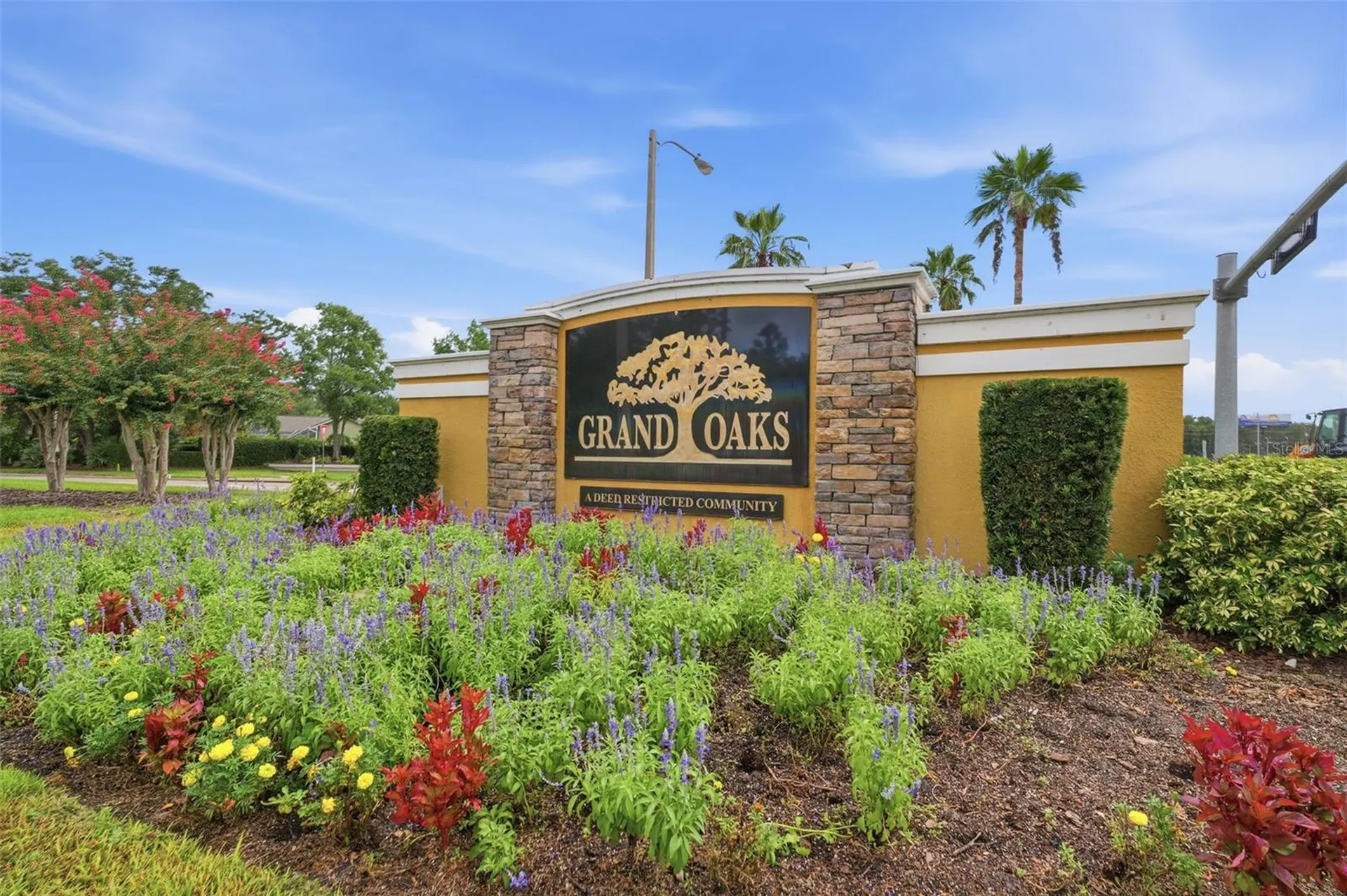 4710 Basswood Street Land O Lakes FL 34639