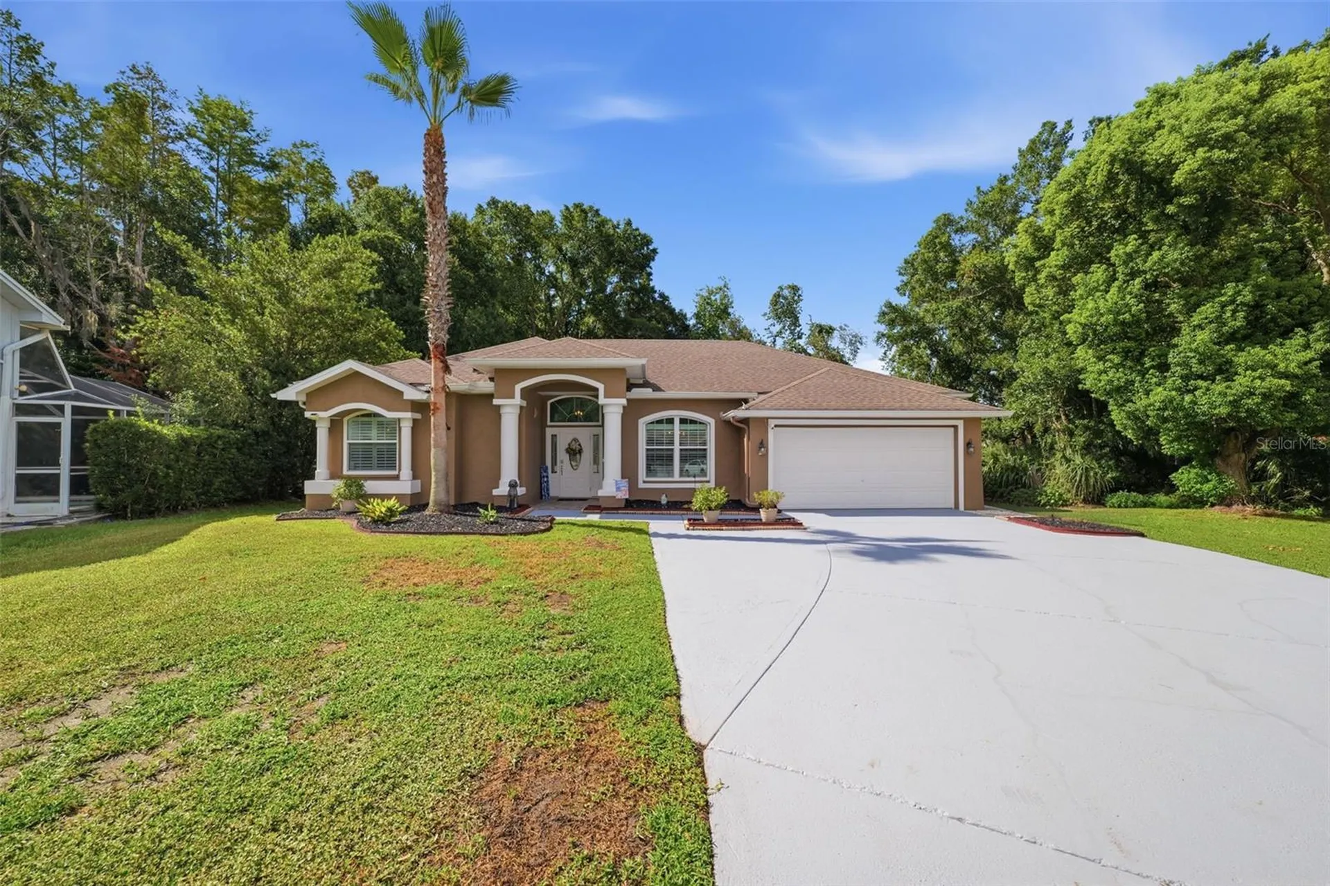 4710 Basswood Street Land O Lakes FL 34639