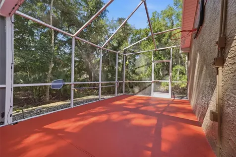 4710 Basswood Street Land O Lakes FL 34639
