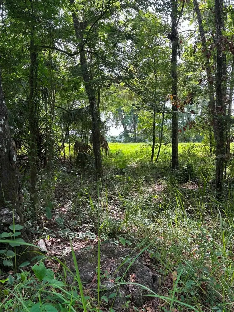 12168 Ponce De Leon Boulevard Brooksville FL 34601