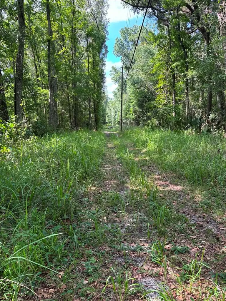 12168 Ponce De Leon Boulevard Brooksville FL 34601