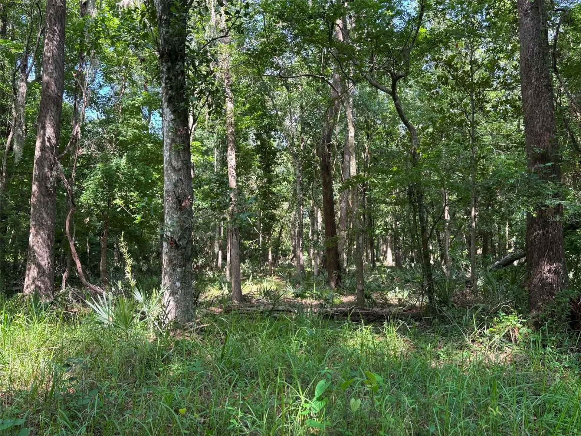 12168 Ponce De Leon Boulevard Brooksville FL 34601