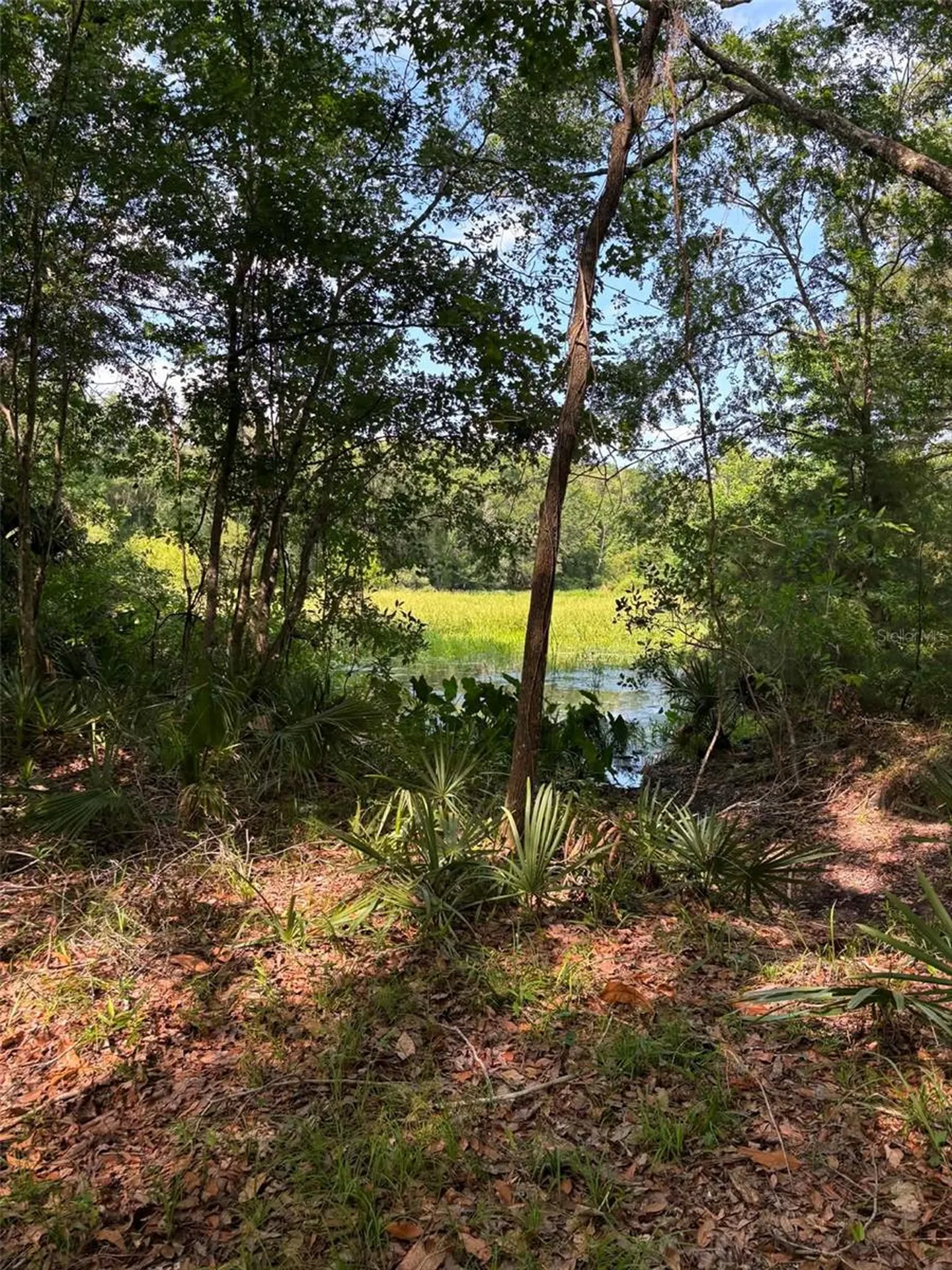 12168 Ponce De Leon Boulevard Brooksville FL 34601