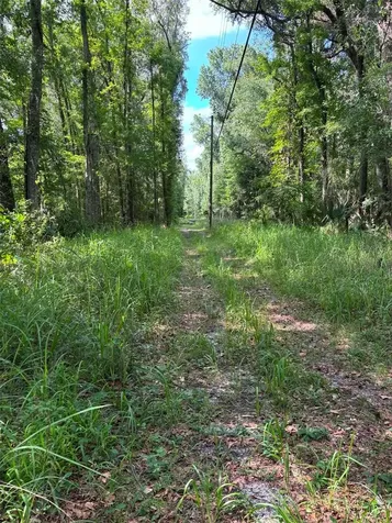 12168 Ponce De Leon Boulevard Brooksville FL 34601