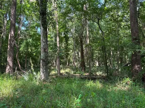 12168 Ponce De Leon Boulevard Brooksville FL 34601