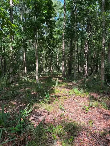 12168 Ponce De Leon Boulevard Brooksville FL 34601
