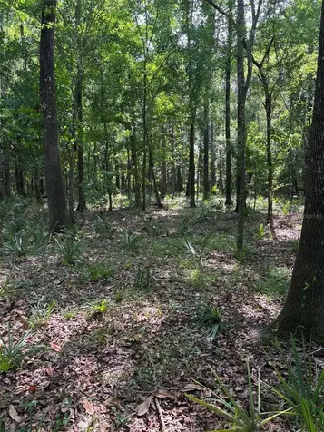 12168 Ponce De Leon Boulevard Brooksville FL 34601