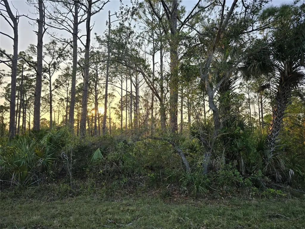 2497 Hoover Street Port Charlotte FL 33953