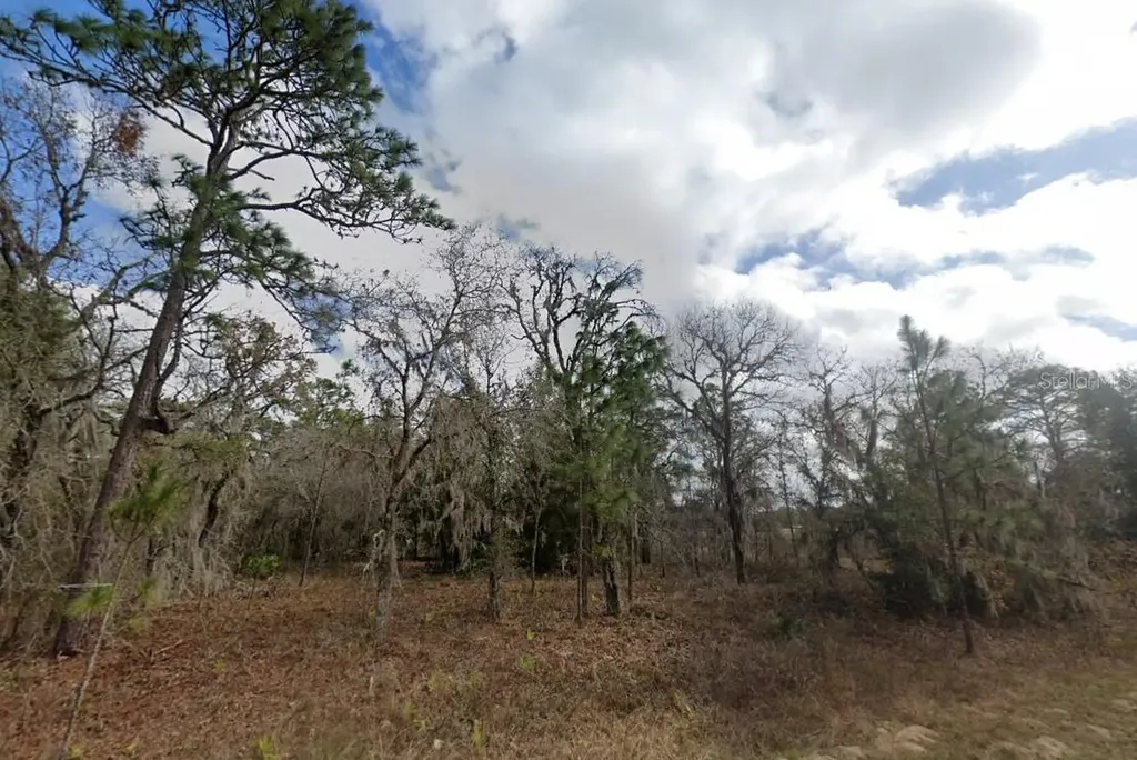 Crider Road Weeki Wachee FL 34614