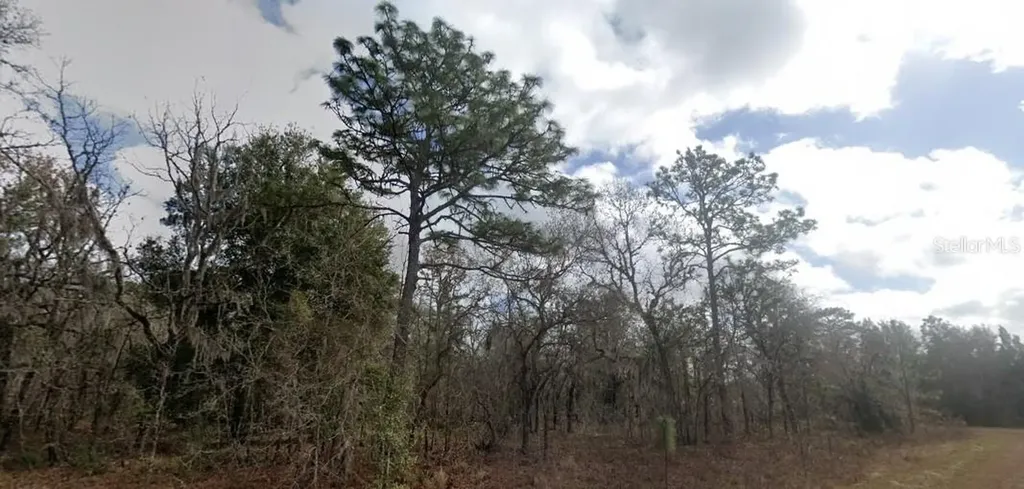 Crider Road Weeki Wachee FL 34614