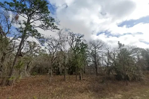 Crider Road Weeki Wachee FL 34614
