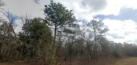 Crider Road Weeki Wachee FL 34614