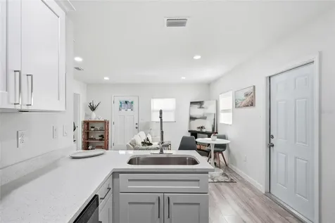 1313 E Sitka Street Tampa FL 33604