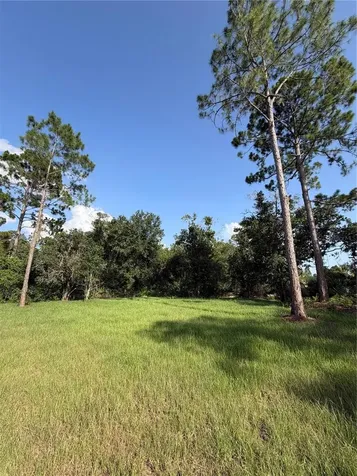1981 Lemon Drive Lake Wales FL 33898
