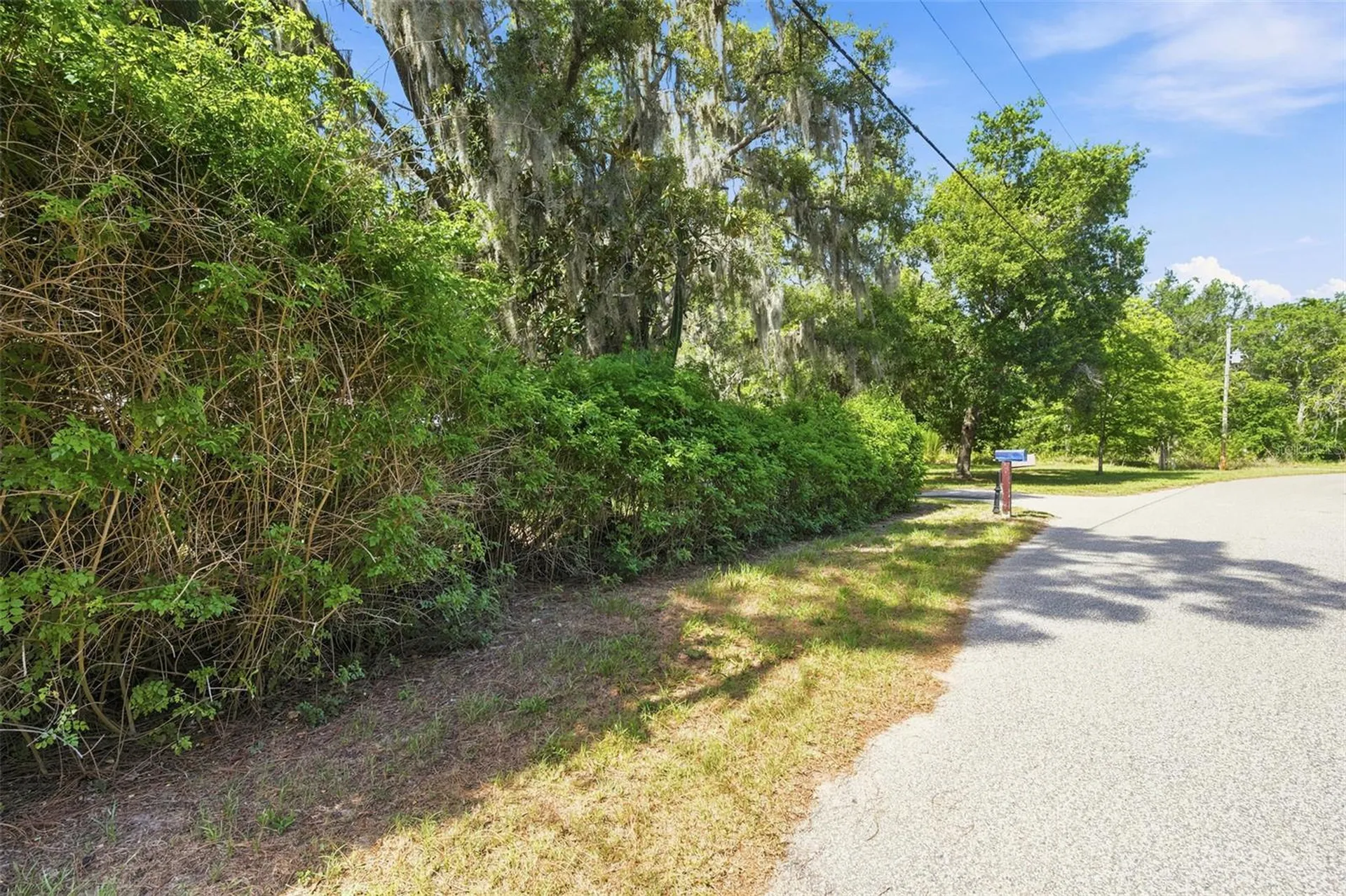12307 Eagle Lake Avenue New Port Richey FL 34654