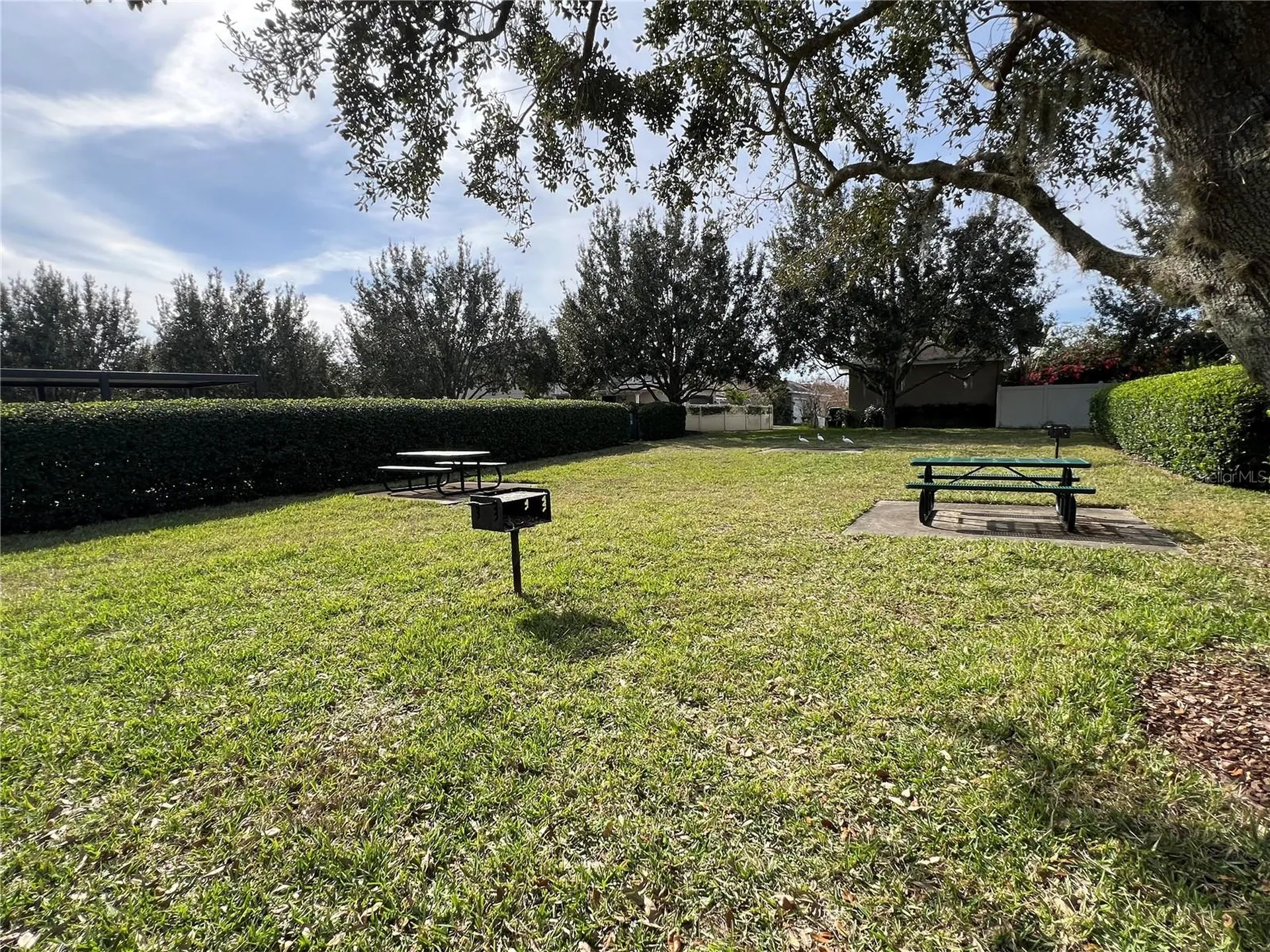 15784 Sweet Limetta Drive Winter Garden FL 34787