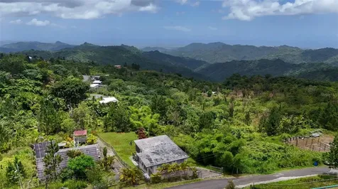 #143 Bo Anon, Ponce PR 00730