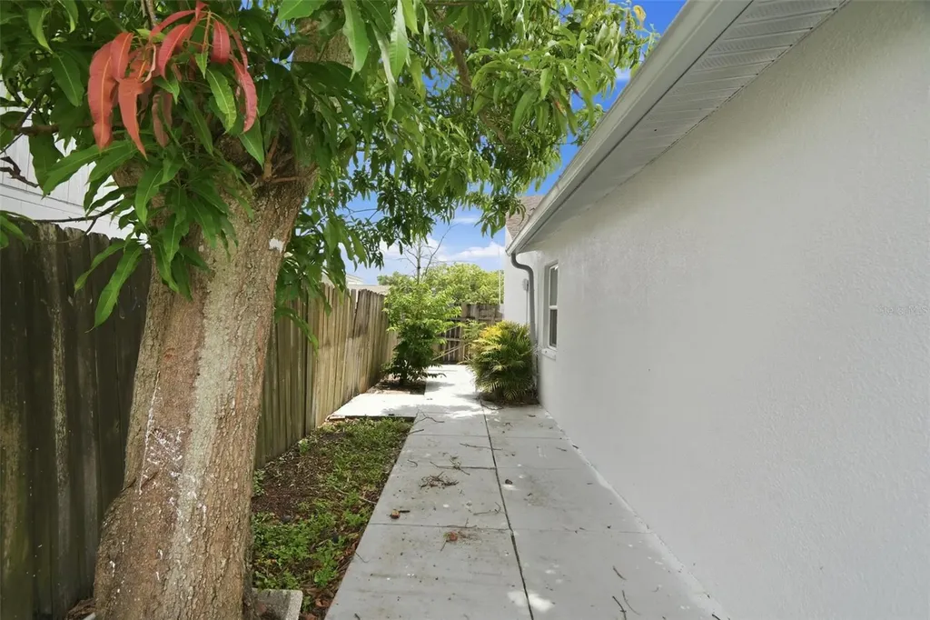 11320 Partridge Drive Tampa FL 33625