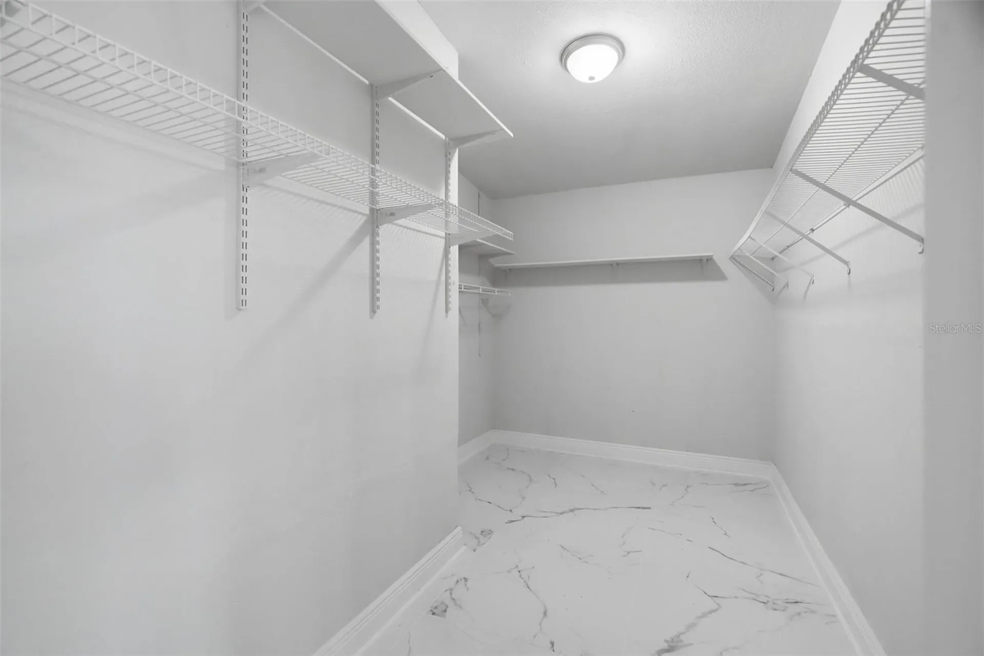 11320 Partridge Drive Tampa FL 33625