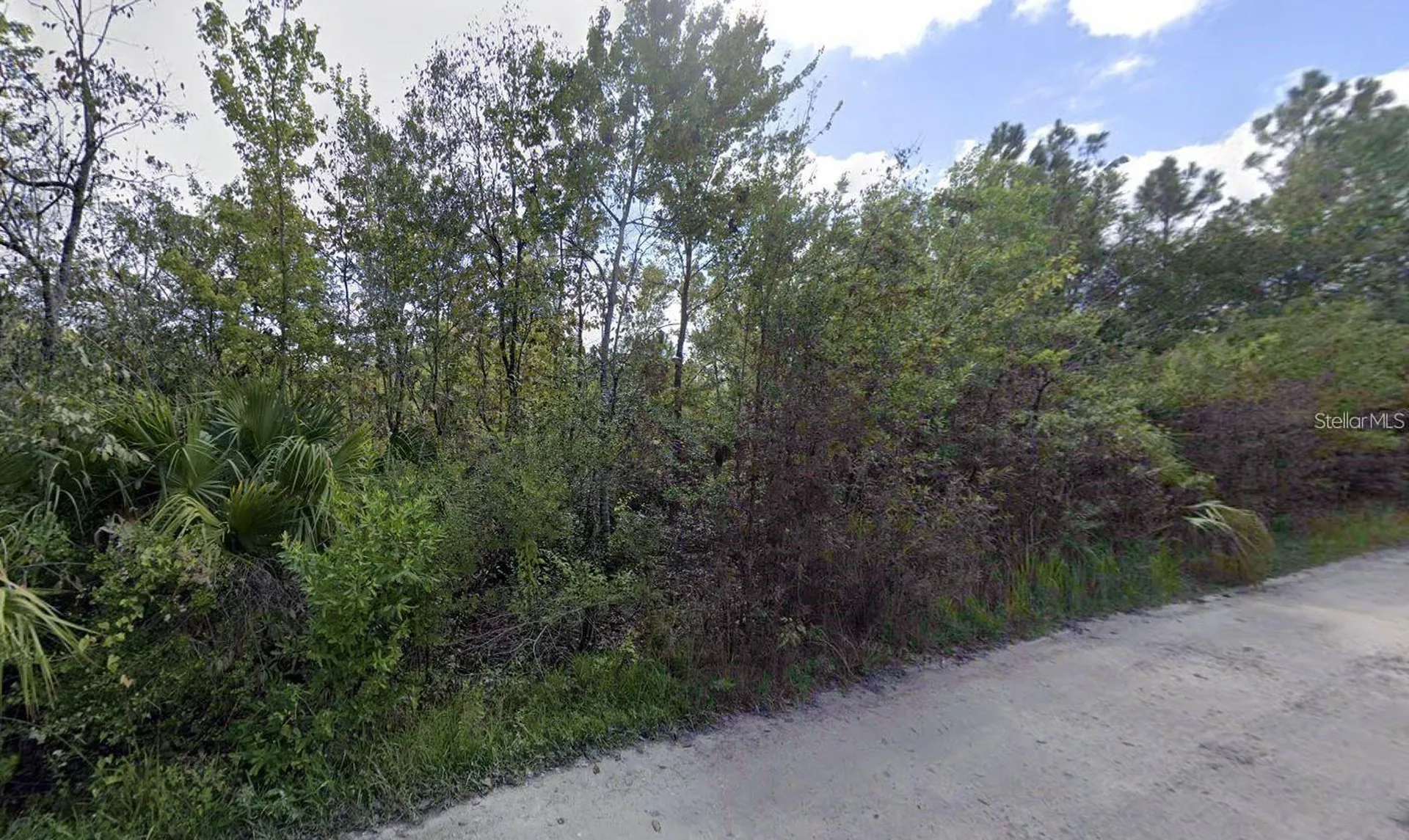 0 Powell Street New Port Richey FL 34654