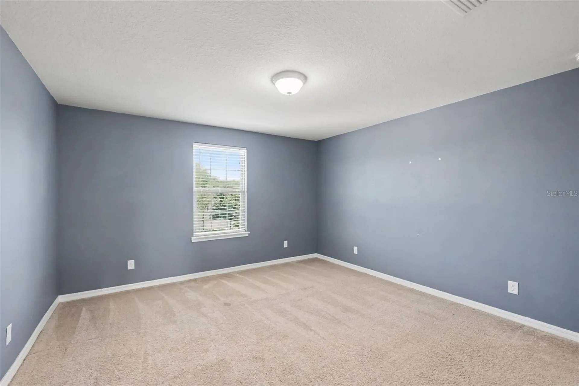 9217 European Olive Way Riverview FL 33578