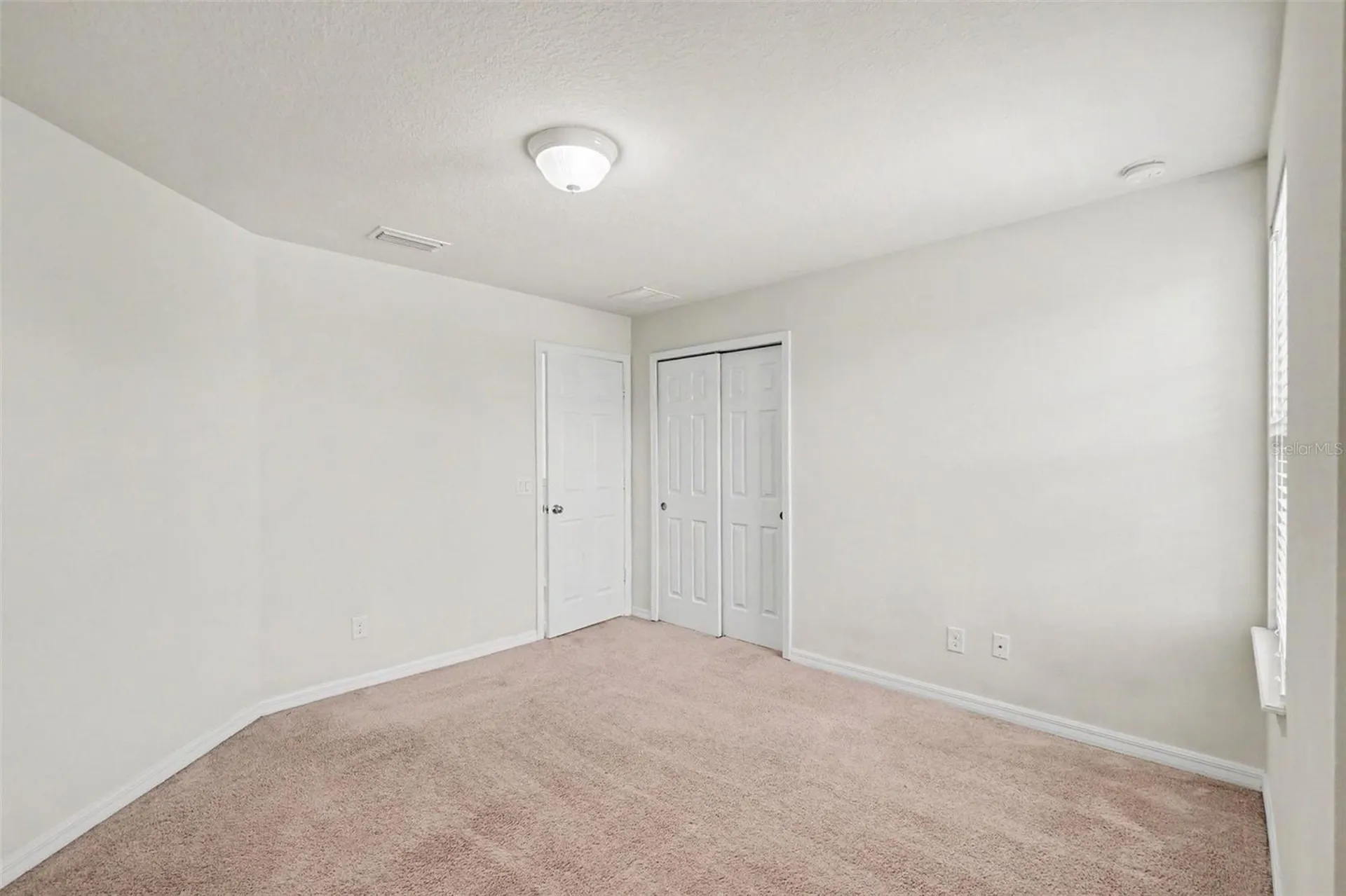 9217 European Olive Way Riverview FL 33578