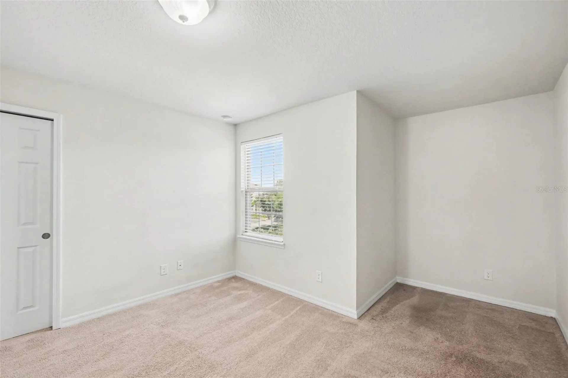 9217 European Olive Way Riverview FL 33578
