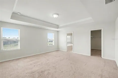 9217 European Olive Way Riverview FL 33578