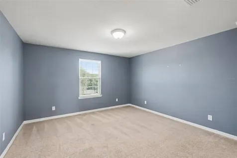 9217 European Olive Way Riverview FL 33578