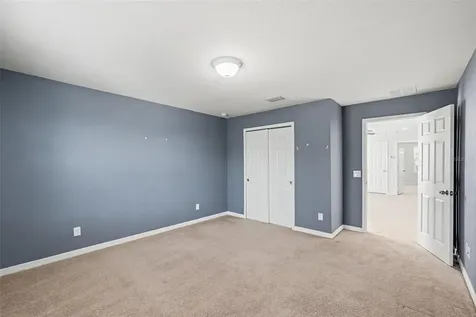 9217 European Olive Way Riverview FL 33578