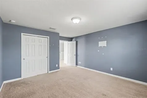 9217 European Olive Way Riverview FL 33578