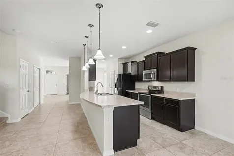 9217 European Olive Way Riverview FL 33578