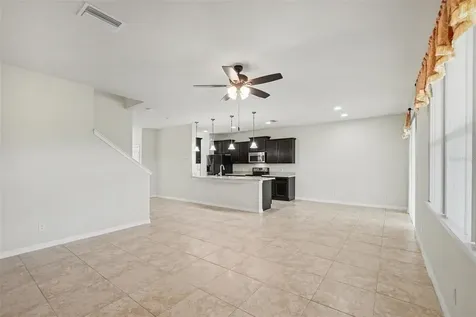 9217 European Olive Way Riverview FL 33578