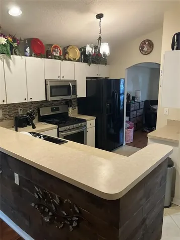 28511 Seashell Court Wesley Chapel FL 33545