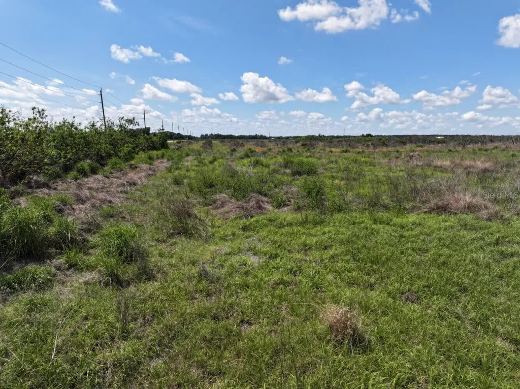 6691 SE County Road 763 Arcadia FL 34266