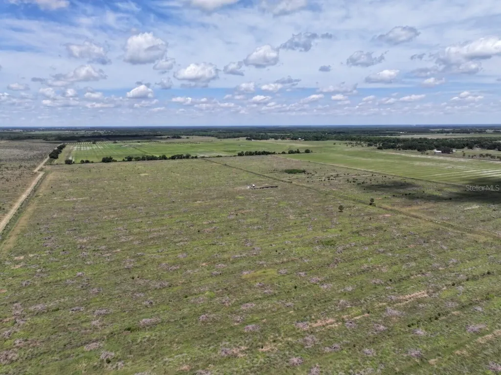 6691 SE County Road 763 Arcadia FL 34266