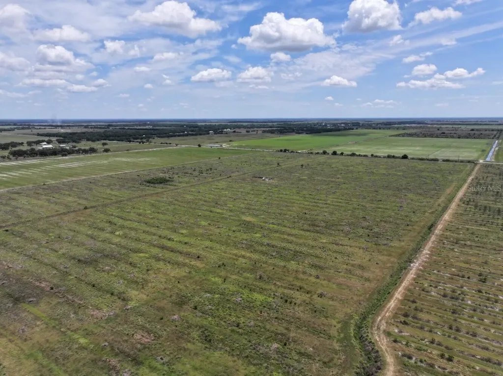 6691 SE County Road 763 Arcadia FL 34266