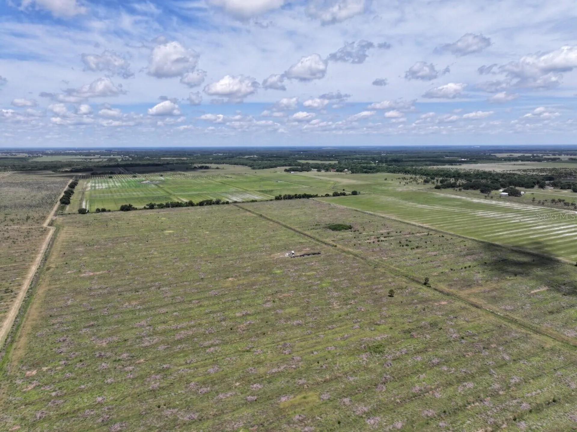 6691 SE County Road 763 Arcadia FL 34266