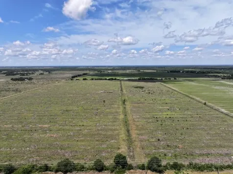 6691 SE County Road 763 Arcadia FL 34266