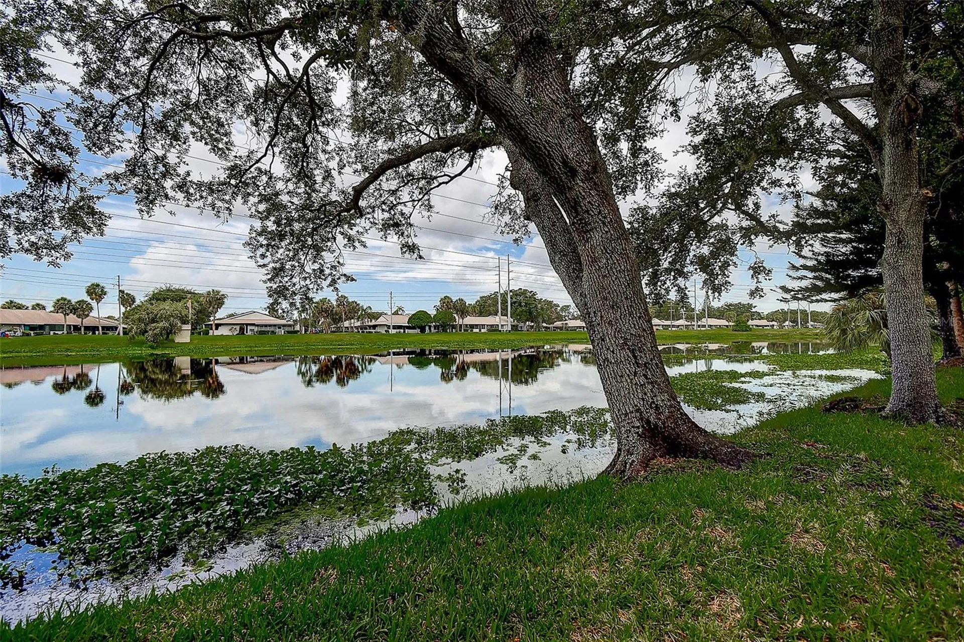 1439 Water View Drive W Largo FL 33771