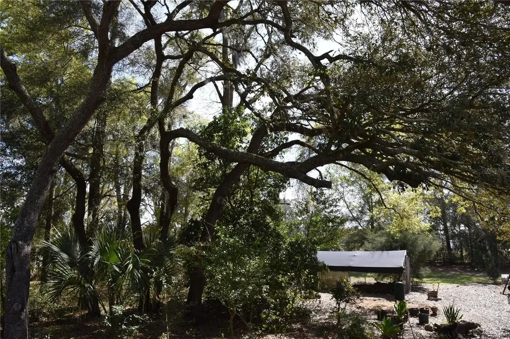 6482 SE 55th Street Trenton FL 32693