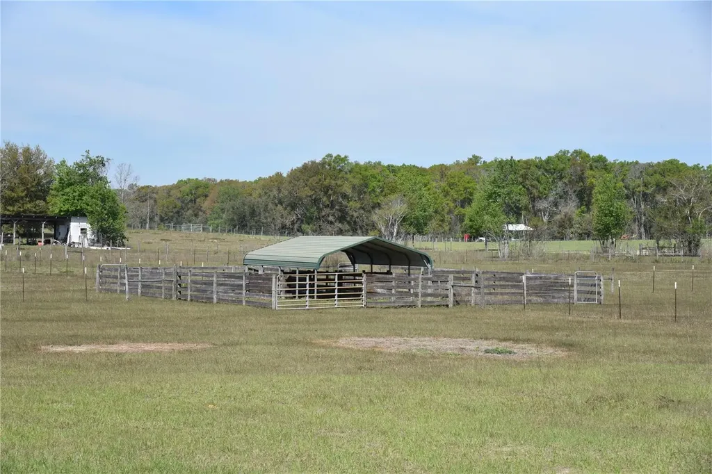 6482 SE 55th Street Trenton FL 32693