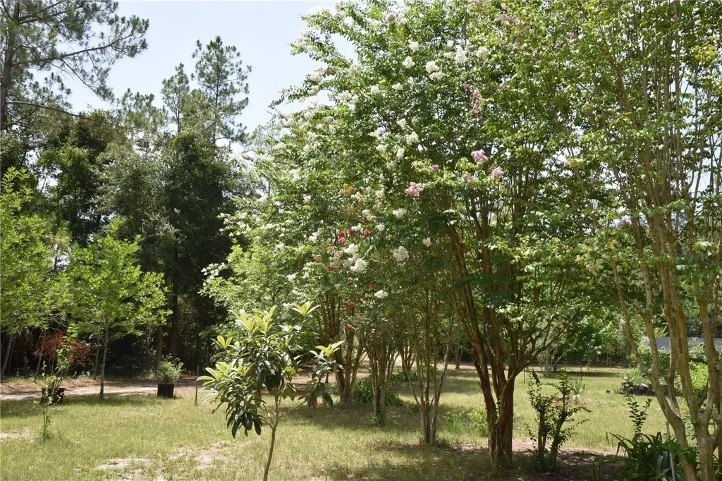 6482 SE 55th Street Trenton FL 32693
