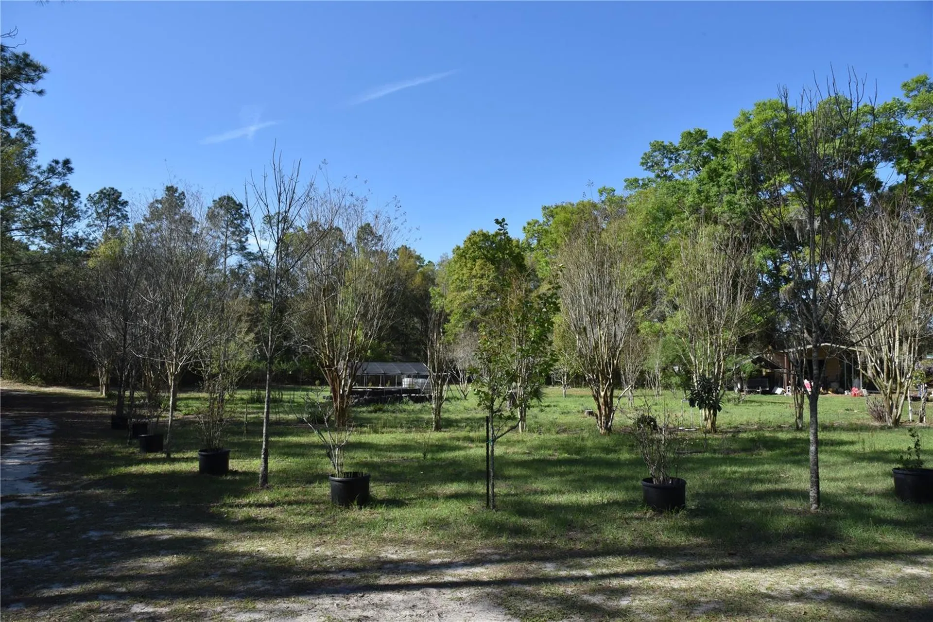 6482 SE 55th Street Trenton FL 32693