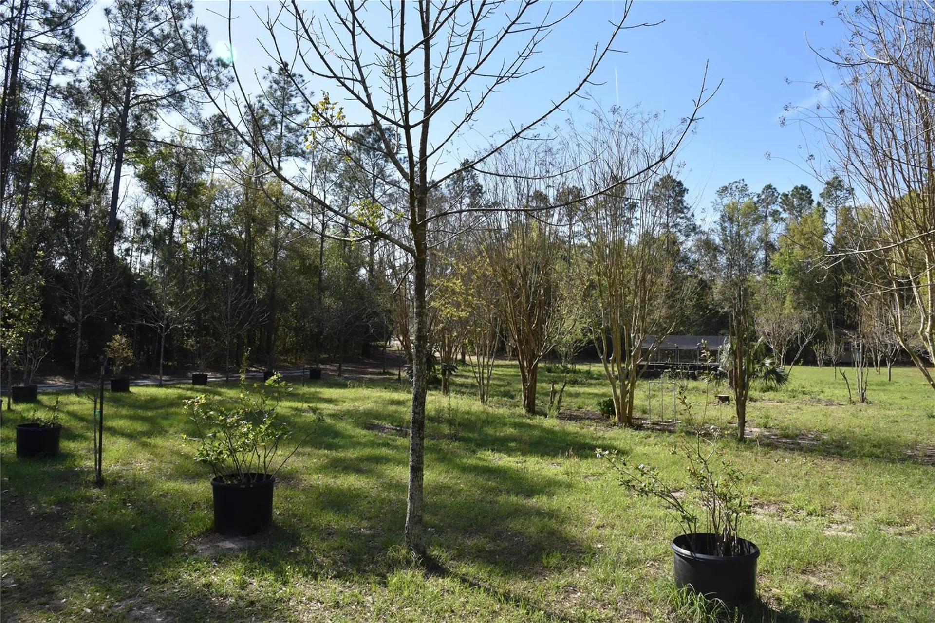 6482 SE 55th Street Trenton FL 32693